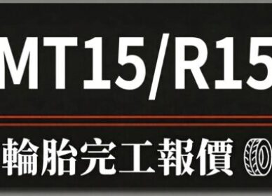 R15V3 V4/MT15 | 輪胎推薦報價